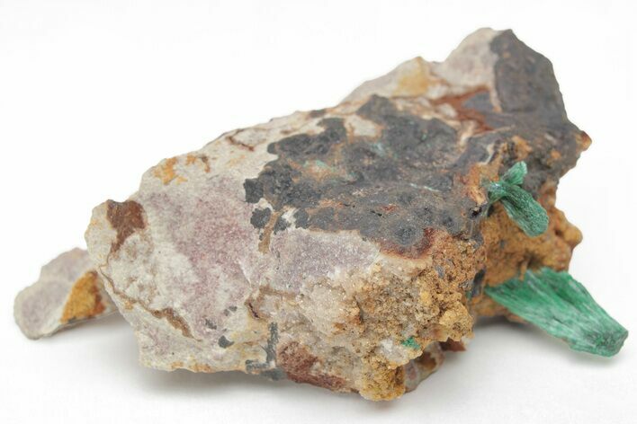 Silky, Fibrous Malachite Crystals on Matrix - Morocco #215028